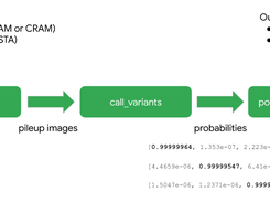 DeepVariant Screenshot 1