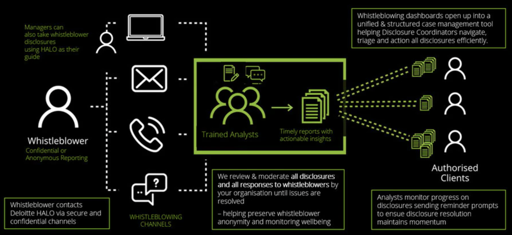 Deloitte Halo Screenshot 1