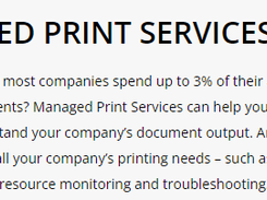 Delsan Managed Print Services Screenshot 1