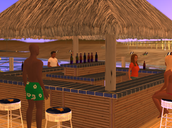 Come have a seat at the tiki bar.