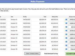 Deltek Payments Screenshot 1