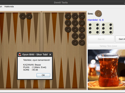 Demli Tavla Screenshot 2
