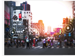 Demographics Pro Screenshot 1