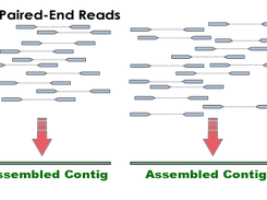 De Novo Assembly From Clinical Trials Screenshot 1