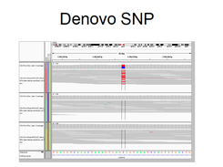 Denovo SNP in a trio called with DeNovoGear.