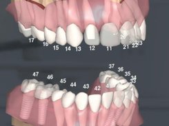 DentalMaster Screenshot 1