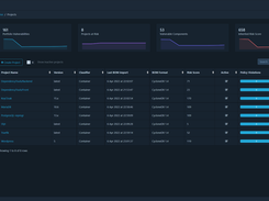 Projects’ list along with risk score, policy violations and vulnerabilities.