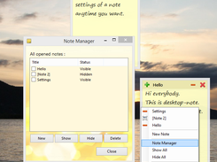 Note manager window