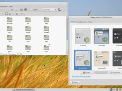 Desktop For Puppy Linux Screenshot 3