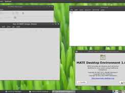 Desktop For Puppy Linux Screenshot 5