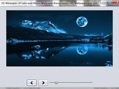 pviewer in Dfm 1.2