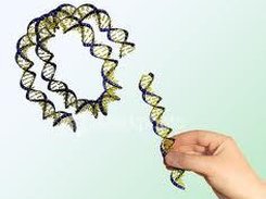 Detecting Genetic Engineering Markers Screenshot 1
