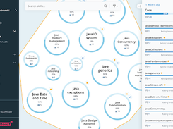 Skills map showing individual skill levels