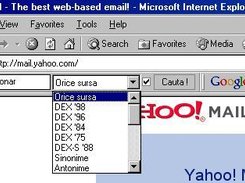 DEXONLINE toolbar in Internet Explorer