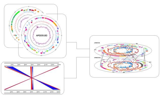 download elementary matrices and some applications to dynamics and diff.