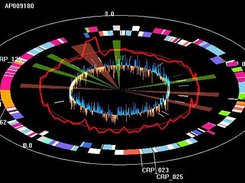 Significant changes in genomes revealed by 3D Genome Tuner