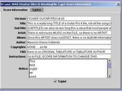 The Score Information for a GP4 file