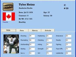 Player Profile - Skills