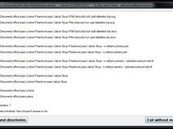 window before renaming