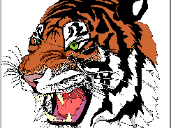 patch eve