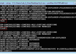 Digital Forensics_Plug-in displaying Registry keys accessed by running process