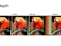 digital video introduction Screenshot 2