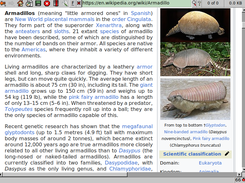 Dillo Screenshot 2