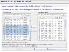 DIMER Screenshot 2