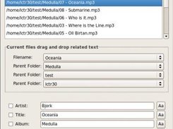 editor window
