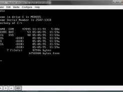 Dioscuri emulator running MS DOS