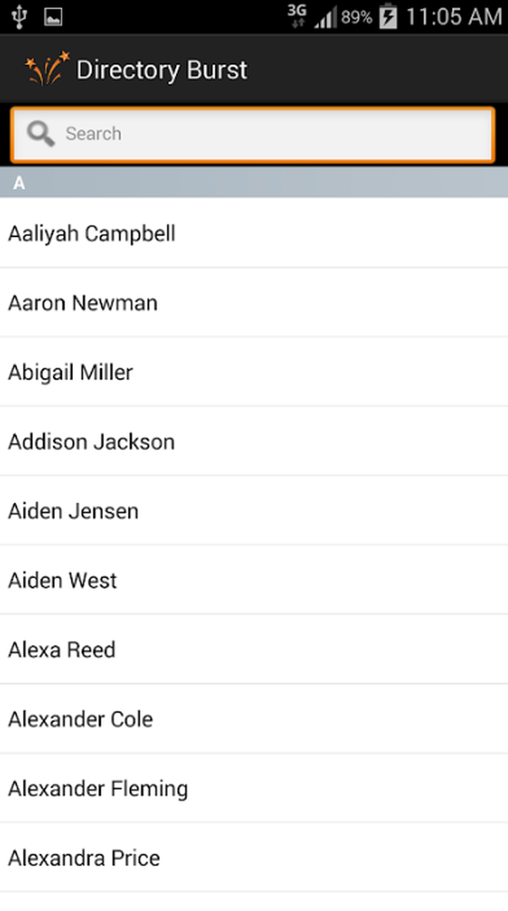 Directory Burst Screenshot 1