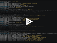 dirhunt Screenshot 1