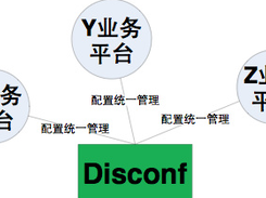 Disconf Screenshot 2