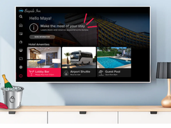 DISH Business Screenshot 1