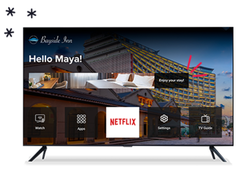 DISH Business Screenshot 2