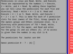 File permissions