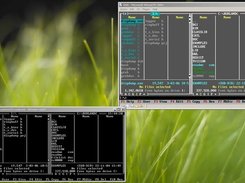 DOS in a VM (client: ComListener): Dos Navigator (NC clone)