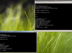 DOS in a VM (client: ComListener): starting DispDump