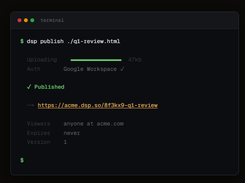 display.dev Screenshot 1