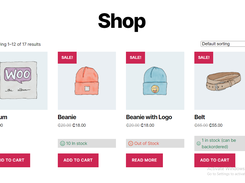 Display Stock Status For Woocommerce Screenshot 3