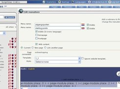Editing a menu-item in the sitemap