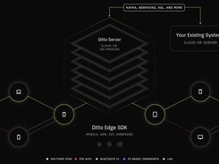 Ditto Edge Sync Platform Platform Architecture