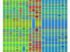 Spectral map: all-vs-all comparison (large SNP panel)
