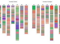 Spectral maps of 2 varieties (part of diverse accession set)