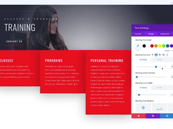 Divi Screenshot 1