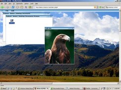 divine folder browsing and image viewing