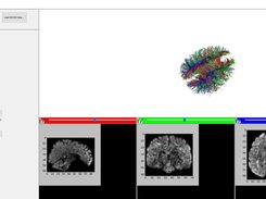 Diviz Screenshot 2