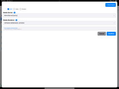 DLNA device scan and selected
