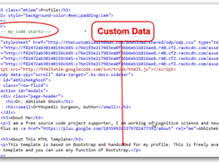 DMOZ Editor Custom Profile Screenshot 1