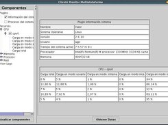 DMReMon Client